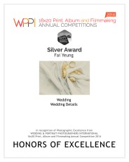 2014 wppi 1st half details